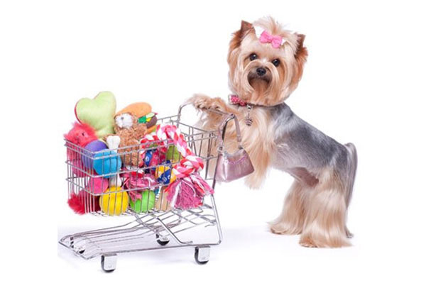 Pet-supplies_cats_dogs__shopping_delivery_lebanon