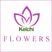 kelchi-flower – Kelchi.com Lebanon Shopping Buy Online