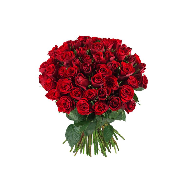 Magnifique – 24 Assorted Colourful Roses – Kelchi Shopping by Beiruting.com